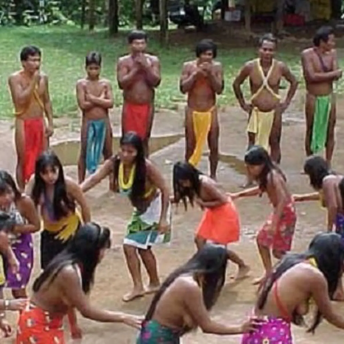 Bokep barat vs orang pedalaman