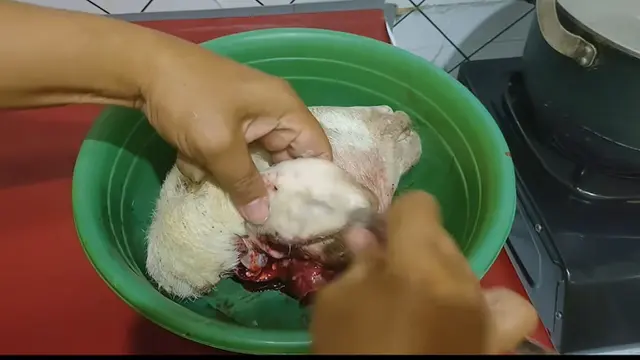 Tanpa Dibakar, Begini Cara Bersihkan Kepala Kambing Sebelum Dimasak