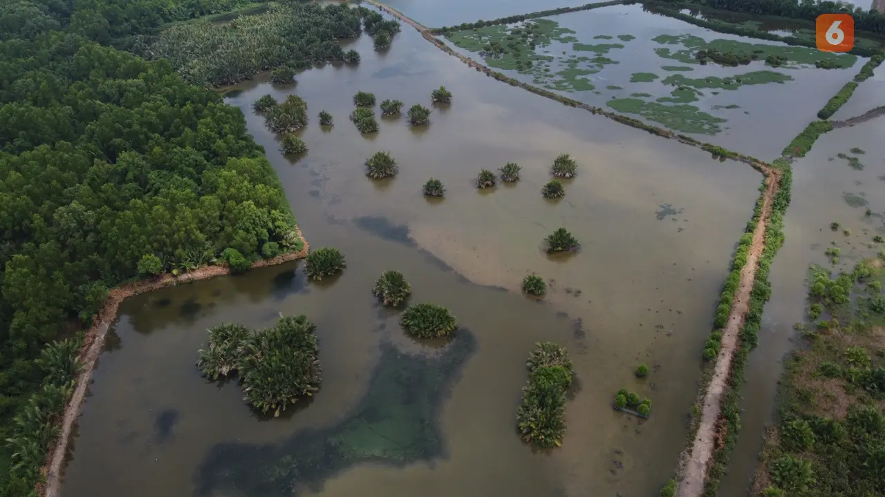 Delta Adalah Endapan di Muara Sungai, Kenali Jenis-Jenis dan Proses Terbentuknya