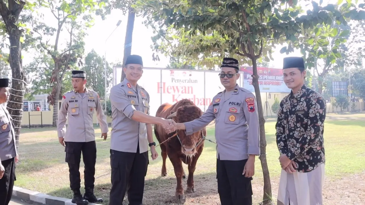 Sapi kurban Polres Pemalang. (Foto: Liputan6.com/Humas Polres Pemalang)
