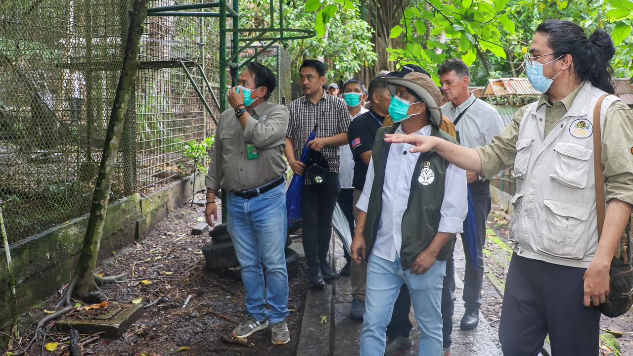 Menhut Tegaskan Perketat Pengawasan, Gunakan Anjing Pelacak untuk Gagalkan Penyelundupan Satwa