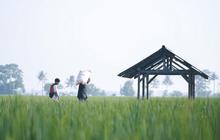 Suhu Panas Landa Indonesia, Mendag Putar Otak Cari Cara agar Harga Pangan Tak Meroket