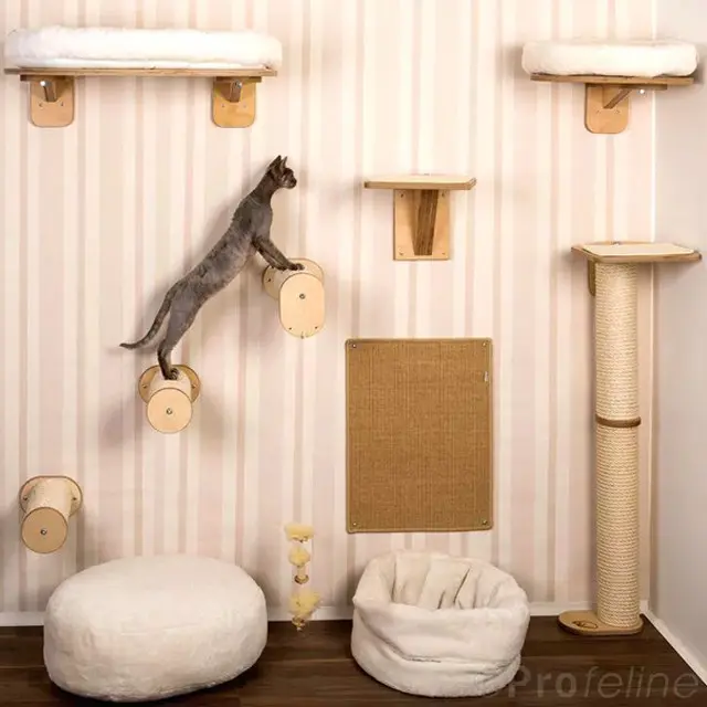 5. Pohon Kucing di Dinding