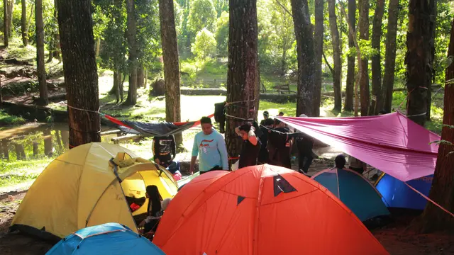 Para pengunjung hutan pinus dulamayo