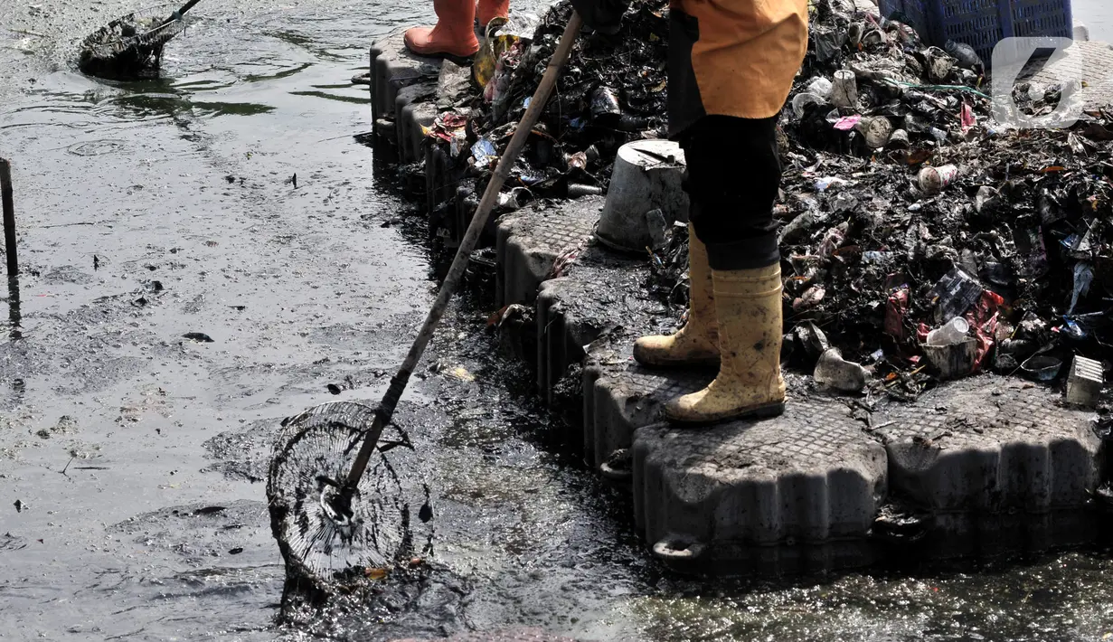 Petugas UPK Badan Air Dinas Lingkungan Hidup Provinsi DKI Jakarta membersihkan sampah di Danau Cincin, Papanggo, Jakarta Utara, Selasa (28/1/2020). Pembersihan sampah yang berasal dari pemukiman sekitar tersebut rutin dilakukan guna menjaga danau tetap bersih dan nyaman. (merdeka.com/Iqbal Nugroho)