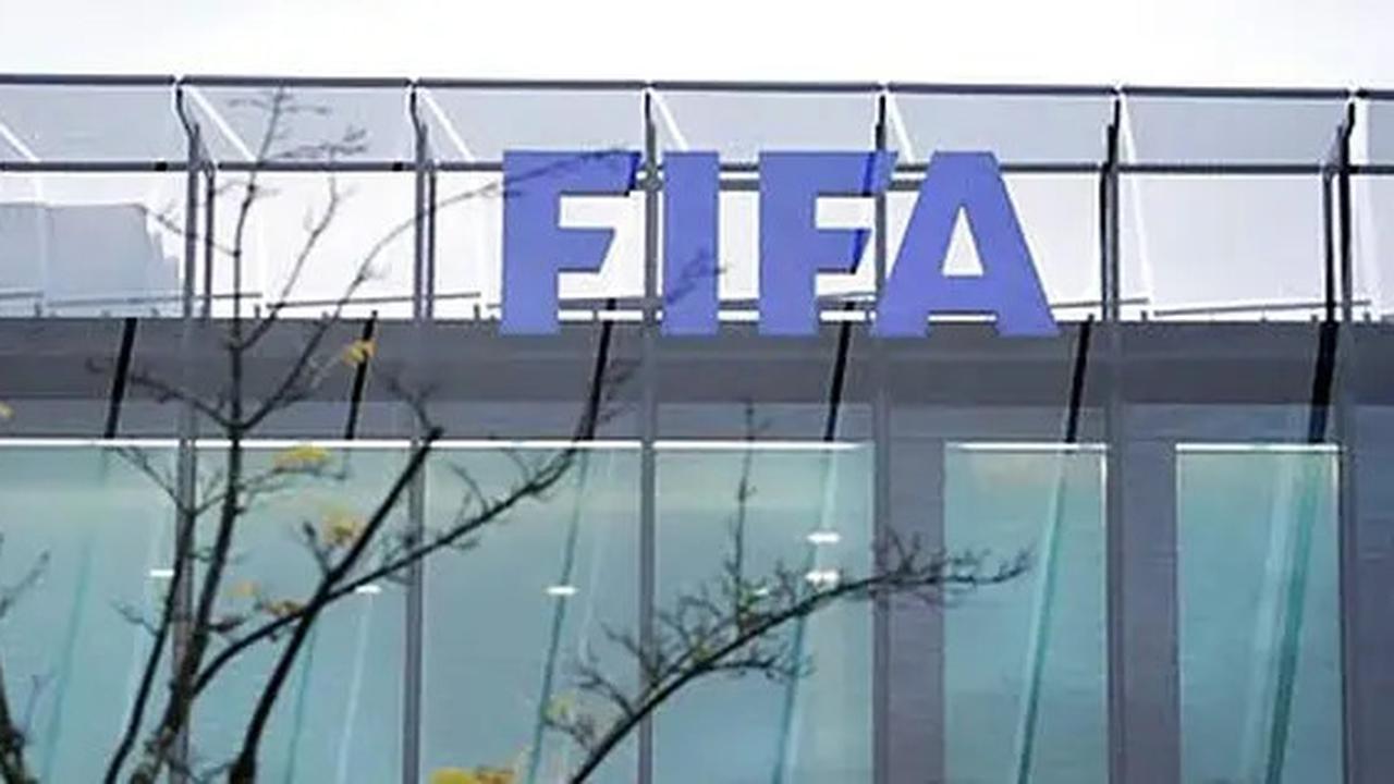 Jadi Salah Satu Tuan Rumah Piala Dunia 2030, Maroko Diterpa Isu Pembersihan Brutal terhadap Anjing Liar