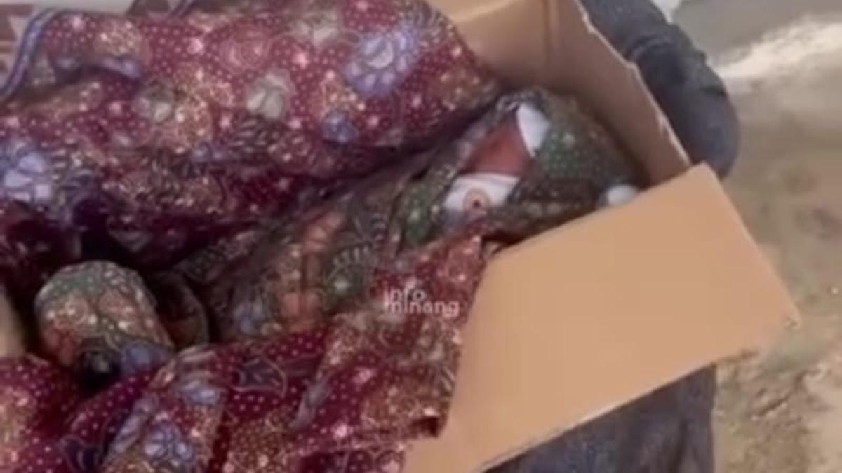 Dimasukan ke Kardus, Bayi Cantik Dibuang Depan Kontrakan di Kabupaten Agam