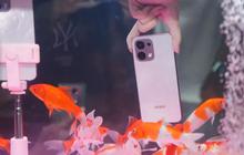 Rincian Spesifikasi dan Harga Oppo A6 Pro 4G serta Oppo A6 Pro 5G di Indonesia