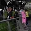 Warga yang memakai masker menikmati hari di sebuah taman di Beijing, Rabu (18/5/2022). Sebagian besar Beijing di-lockdown, tetapi jalan-jalan jauh lebih sepi dari biasanya dengan banyak toko tutup dan orang-orang bekerja dari rumah ketika ibu kota China mencoba mengendalikan wabah COVID-19 yang kecil tetapi terus-menerus. (AP Photo/Ng Han Guan)