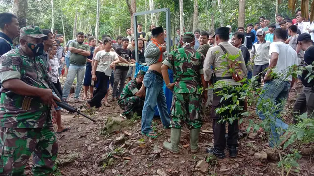Harimau Sumatera