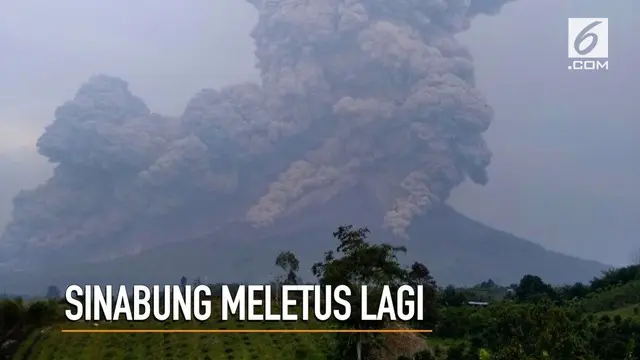 Gunung Sinabung meletus lagi dan memuntahkan awan panas sejauh 5 ribu meter.