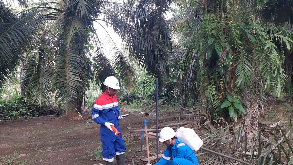 Pakai Teknologi Seismik, Elnusa Tancap Gas Percepat Jasa Eksplorasi Migas di Indonesia Timur