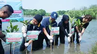 Bukalapak Gandeng Visi Jaya dan Pelindo Tanam Bibit Mangrove di Muara Gembong