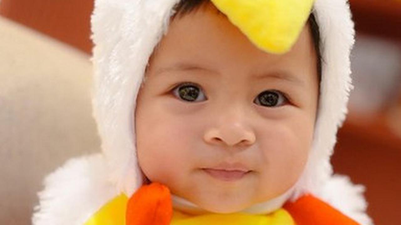 3 Foto Baby Lily Jalani Pemotretan Pakai Kostum Ayam, Diapit Kedua Kakak Ganteng Rafathar & Rayyanza