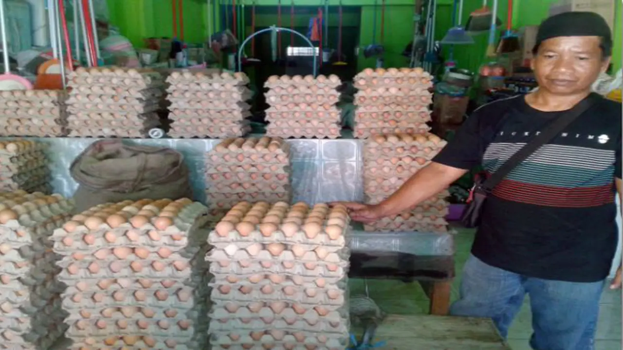Telur