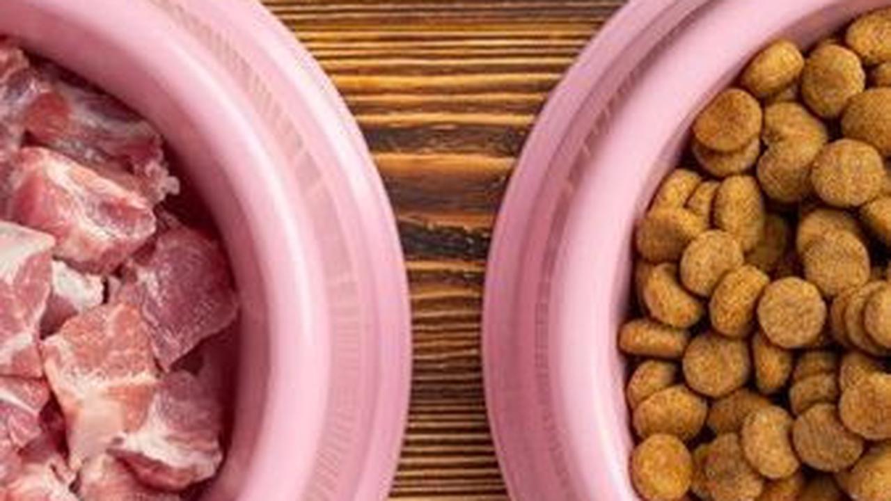 Memberi makanan kucing bukanlah keputusan yang sepele. Dry food atau wet food, keduanya memiliki kelebihan dan kekurangan masing-masing. Mari kita telaah lebih lanjut!