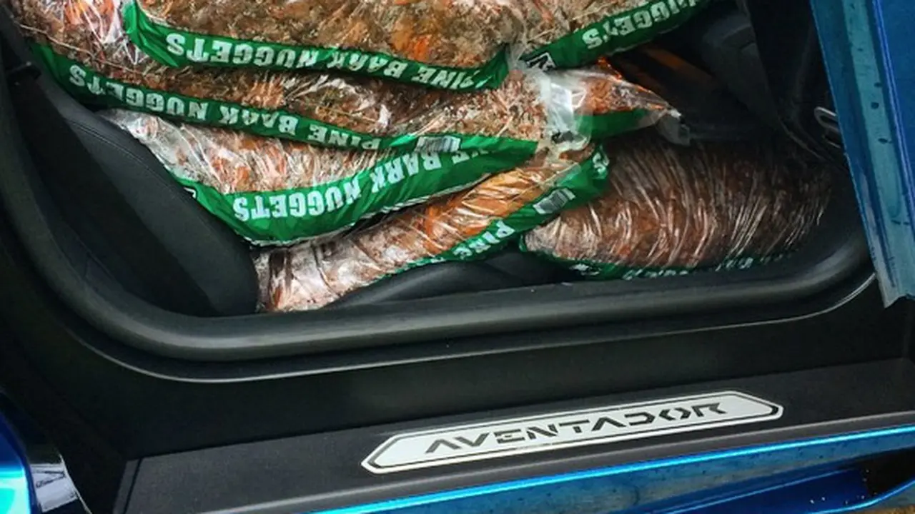 Aksi Konyol Pemilik Lamborghini: Angkut Sayur Pakai Aventador