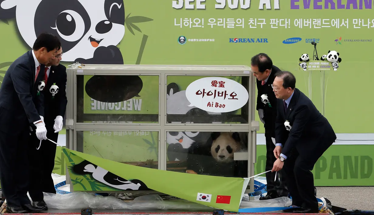 Petugas saat mengangku kandang berisi Panda bernama Aibao  dalam acara penyambutan sepasang panda yang berasal dari Cina di Bandara Internasional Incheon, Korea Selatan , (3/3). (REUTERS / Ha Sa - hyun)