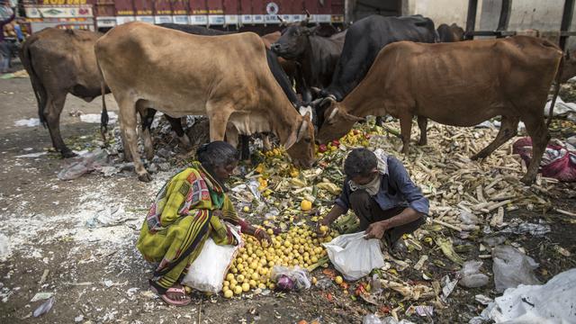 Cara Simpel Buat Eco Enzym dari Sampah Organik di Rumah