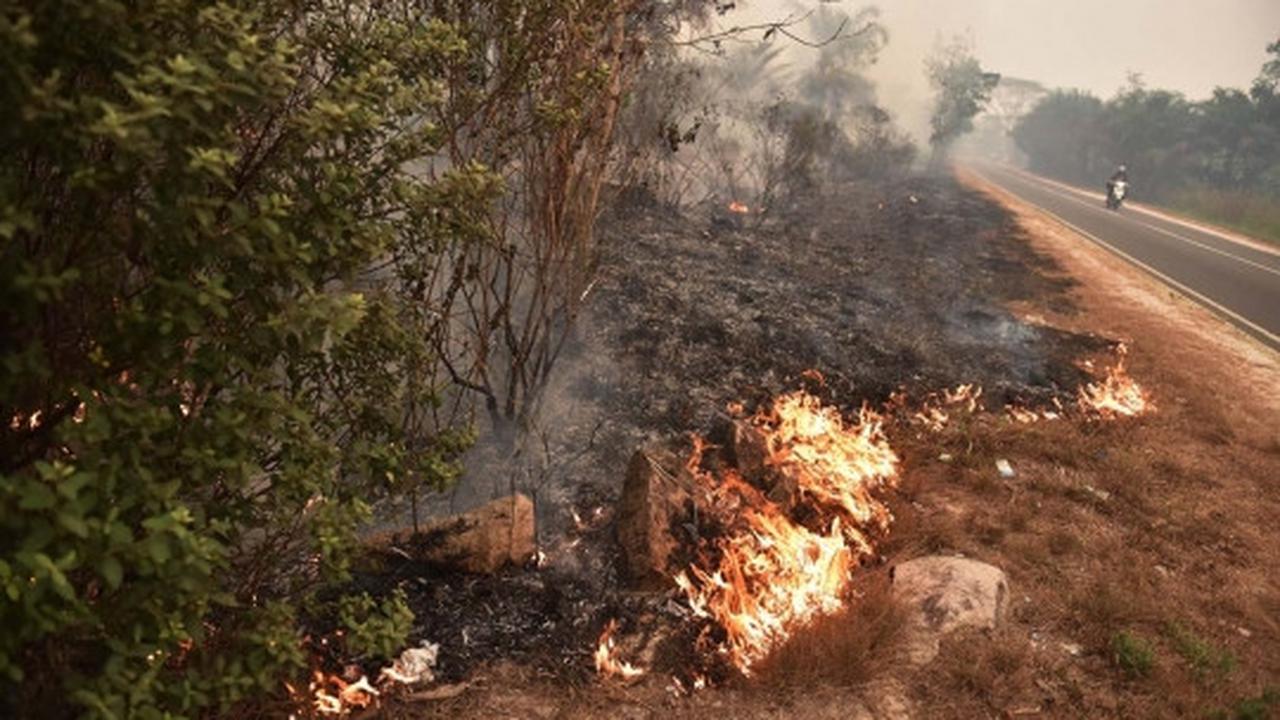 Perjuangan warga padamkan kebakaran hutan dengan alat seadanya