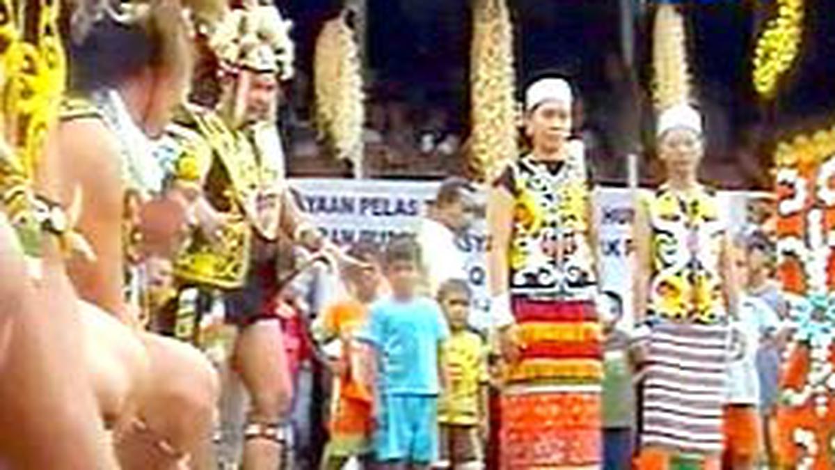 Alaq Tau, Ritual Menanam Padi