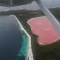 Warna merah muda yang pekat menutupi seluruh permukaan air Lake Hiller di Middle Island, Australia Barat (Liputan6.com/Happy Ferdian)