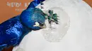 Pada Halloween tahun ini, ia tampil dengan dandanan sebagai burung merak. Dilansir dari E! News, Rabu (1/11/2023), ia tampil mengenakan bodysuit warna biru terang. Sedangkan sang suami, Tom Kaulitz ikut jadi pelengkap dengan didandani sebagai  telur burung. (Photo by Evan Agostini/Invision/AP)