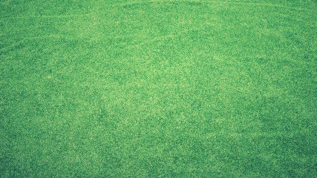 Background Presentasi Polos