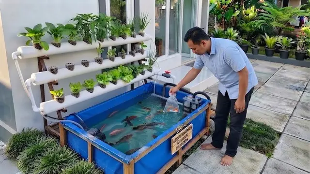 Memasukkan Ikan ke Dalam Kolam
