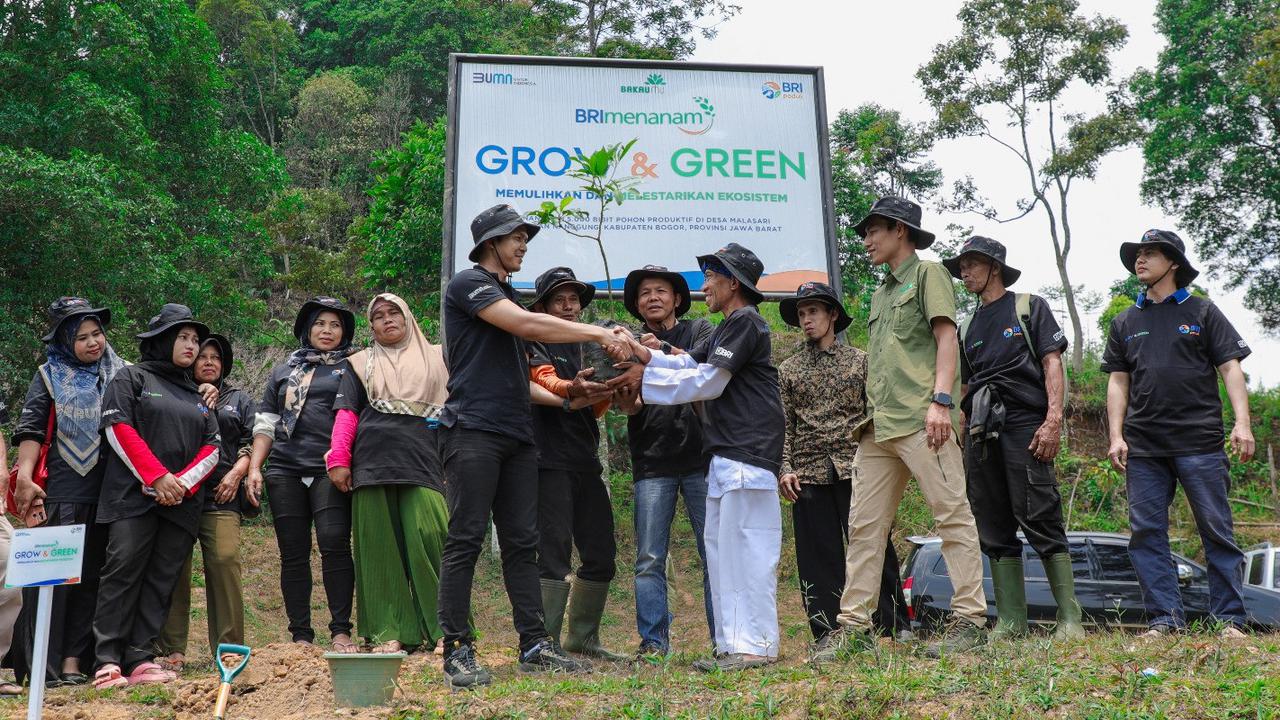 Aksi Nyata Kelompok Tani Mantan Penambang Memulihkan Hutan Lewat BRImenanam Grow & Green