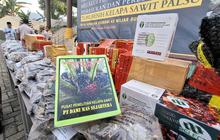 75.992 Bibit Sawit Ilegal Disita di Lampung, Jejak Jaringan Marketplace Diendus