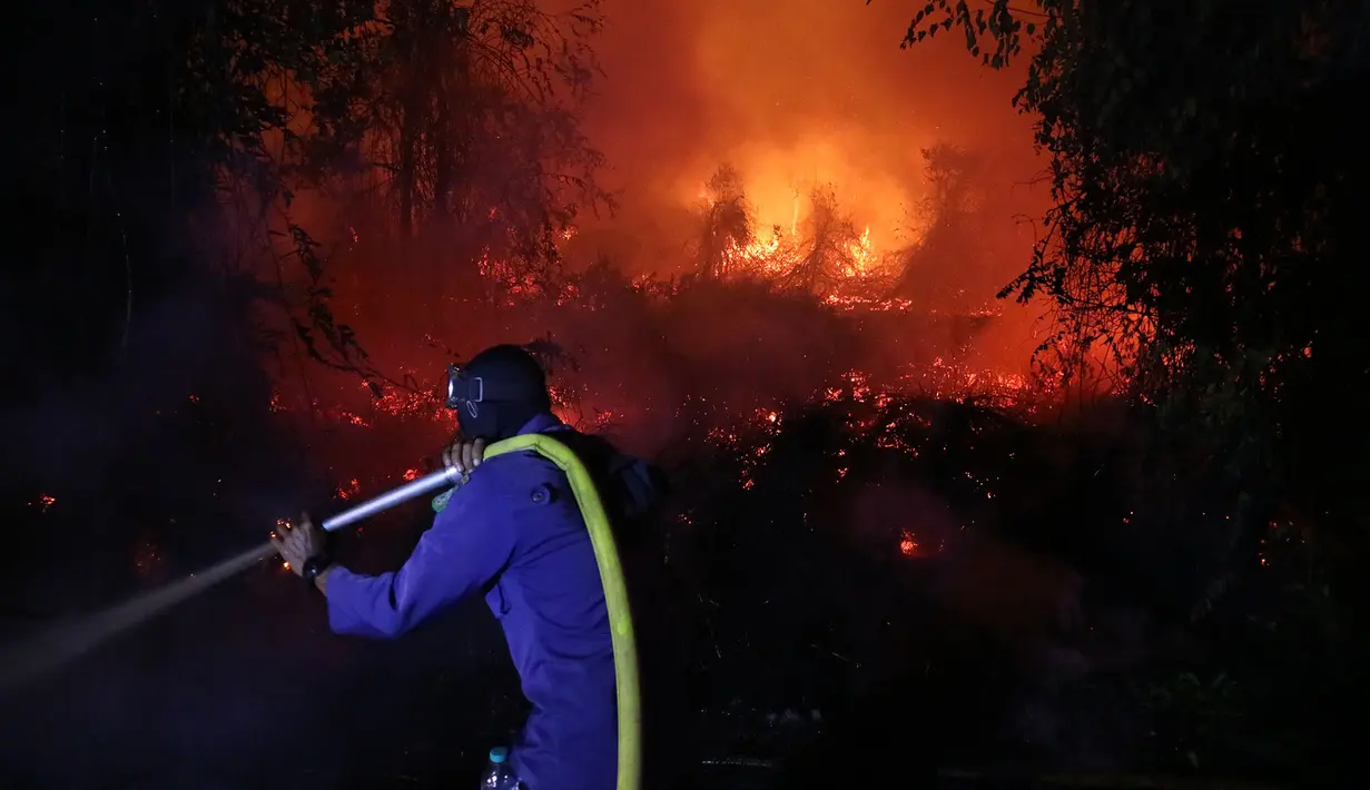 Petugas pemadam kebakaran berupaya memadamkan api yang membakar lahan gambut di Sampit, Kalimantan Tengah, Indonesia, Senin, 24 Agustus 2026. (AP Photo/Andri Rizky Agustian)