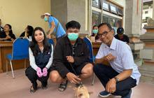 Cegah Rabies, Pemkab Badung Gencarkan Program Sterilisasi Vaksinasi Rabies Gratis