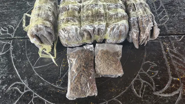 Peredaran Ganja