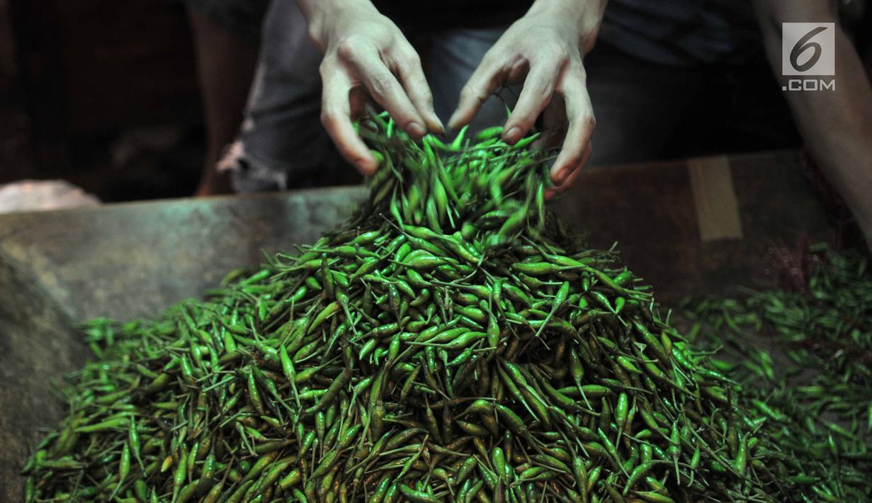 Pedagang merapikan cabai dagangannya di Pasar Induk Kramat Jati, Jakarta, Senin (8/7/2019). Harga cabai merah besar di pasar tersebut naik mencapai Rp55 ribu per kg, sedangkan cabai rawit menjadi Rp50 ribu per kg dan cabai rawit hijau pada kisaran Rp 60 ribu per kg. (merdeka.com/Iqbal S Nugroho)