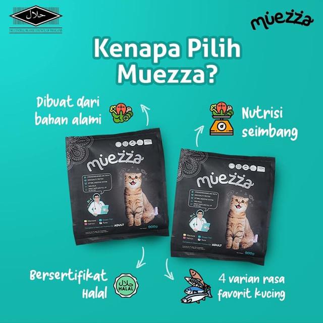 Potret Hangat 6 Pesepak Bola Bersama Kucing Kesayangan