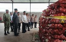 Mentan Amran Sulaiman Desak Pembongkaran Tuntas Kasus Penyelundupan Bawang Bombay Ilegal di Semarang