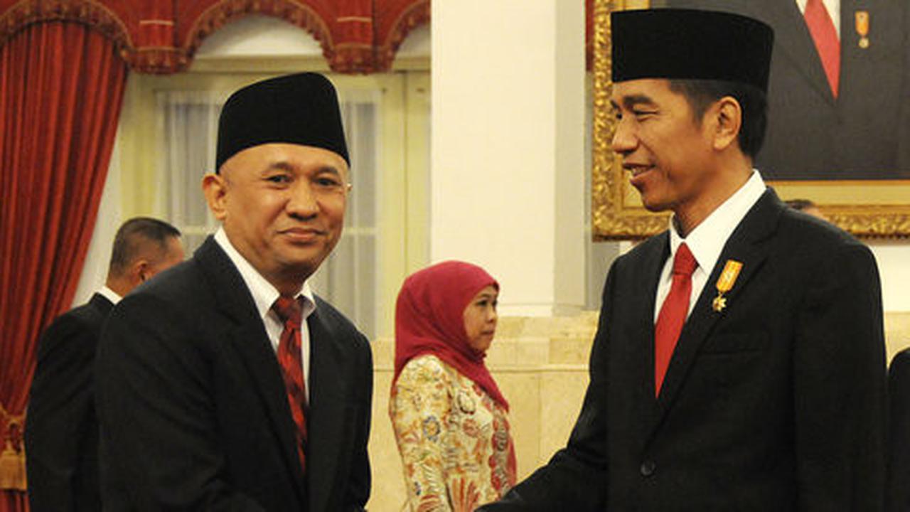 Istana: Jika 35.000 MW tak tercapai, RI krisis listrik pada 2019
