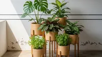 7 Inspirasi Kebun Mini untuk Rumah Kontrakan yang Tidak Boleh Renovasi, Fungsional