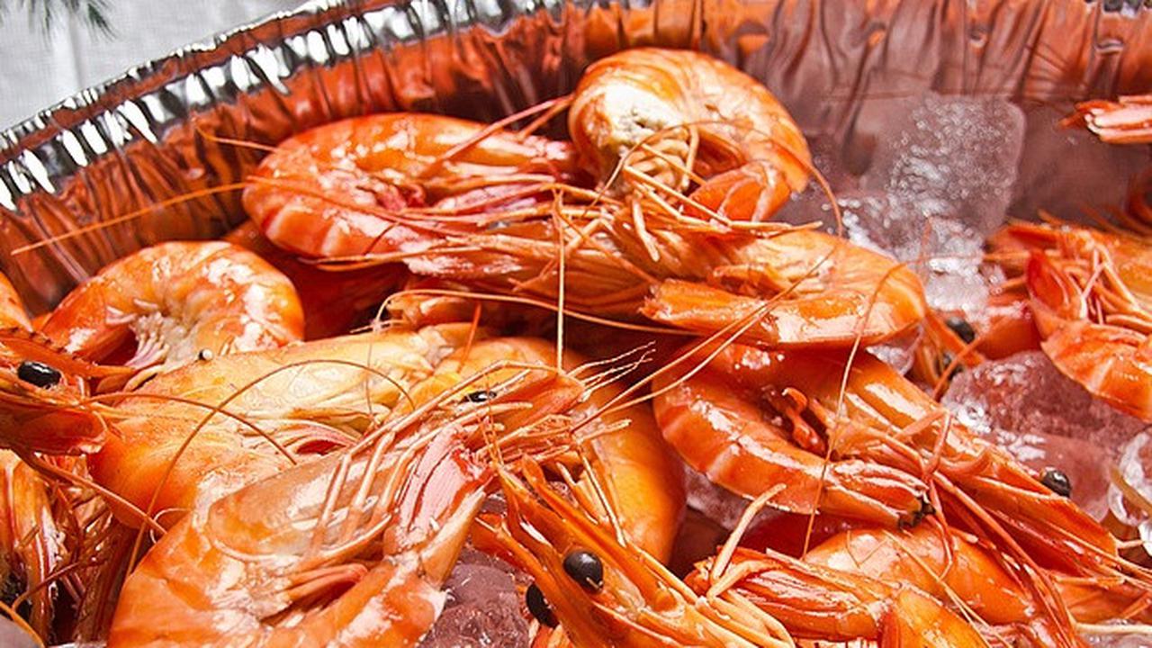 8 Manfaat Udang untuk Bayi, Mendukung Sistem Imun Tubuh