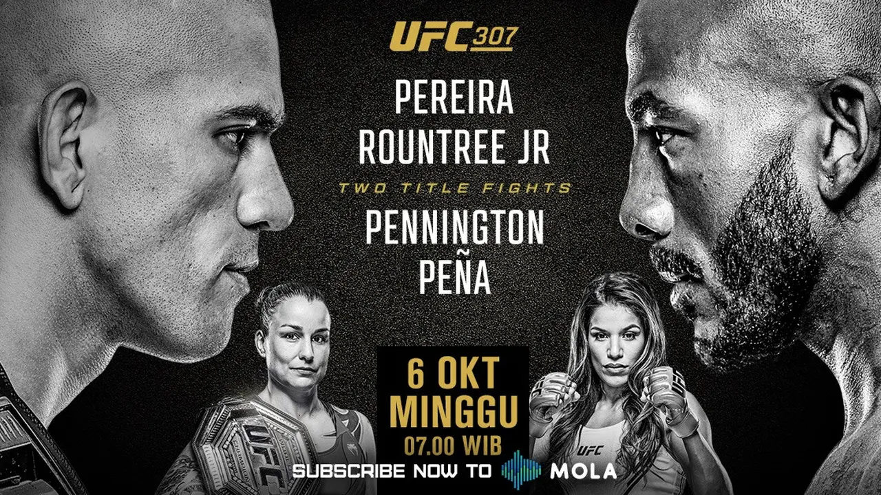 Banner UFC 307