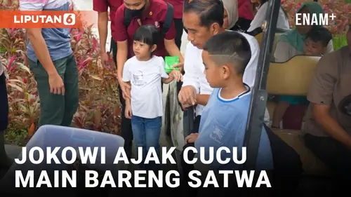 VIDEO: Presiden Jokowi Ajak Cucu Mengenal dan Bermain dengan Satwa di Deli Serdang