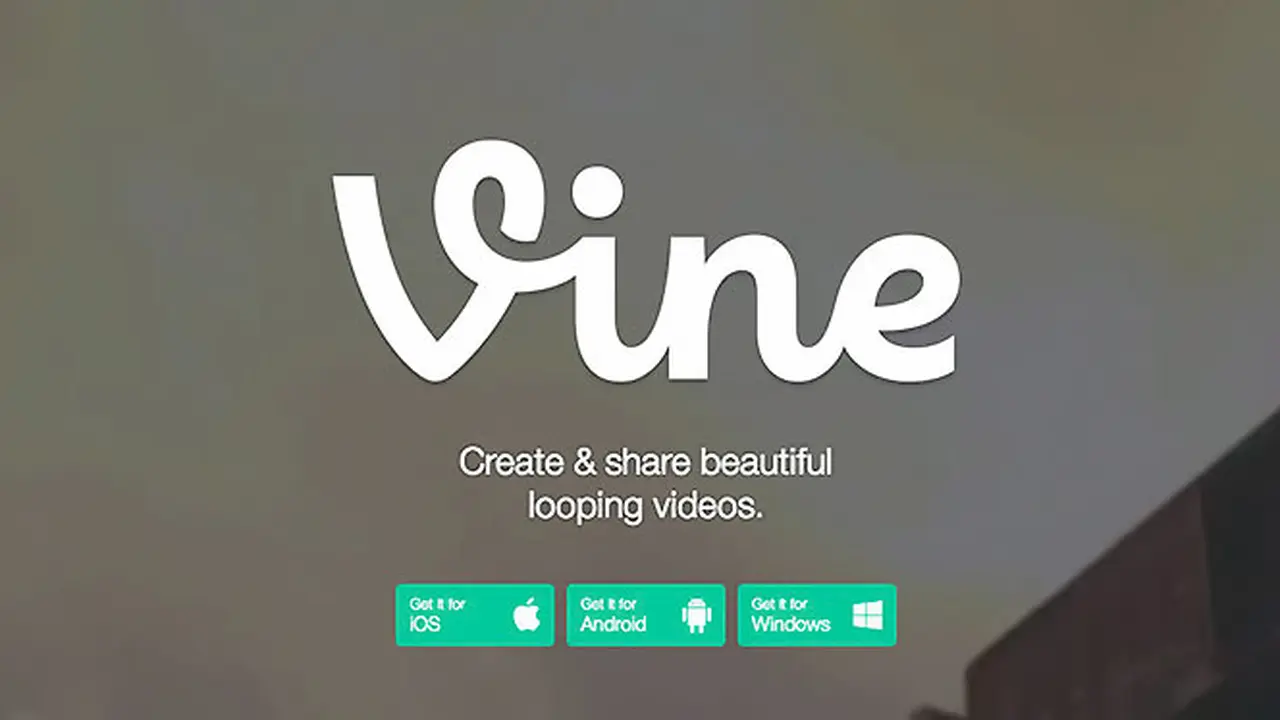 vine-140106b.jpg