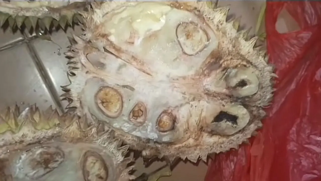 Viral Banyak Warga Tertipu Durian Tewel di Pasar Cheng Ho Pasuruan