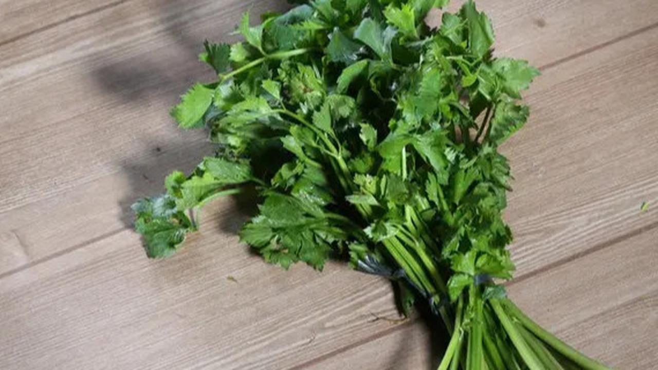 6 Manfaat Seledri untuk Kesehatan, Termasuk Menurunkan Kadar Kolesterol