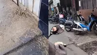 Viral Warung Warga Diserbu Lautan Belatung (Sumber: TikTok @puputskb13)
