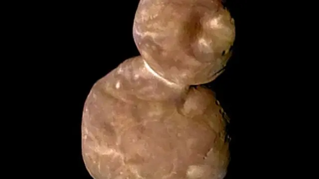 Ultima Thule atau Arrokoth. (NASA/JHUAPL/SWRI/T. APPERE)