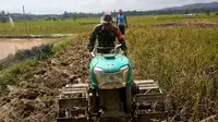 Aksi Sertu Yonathan, anggota Babinsa TNI Kodim 1412/Kolaka membantu warga membajak sawah.(doc.Liputan6.com)