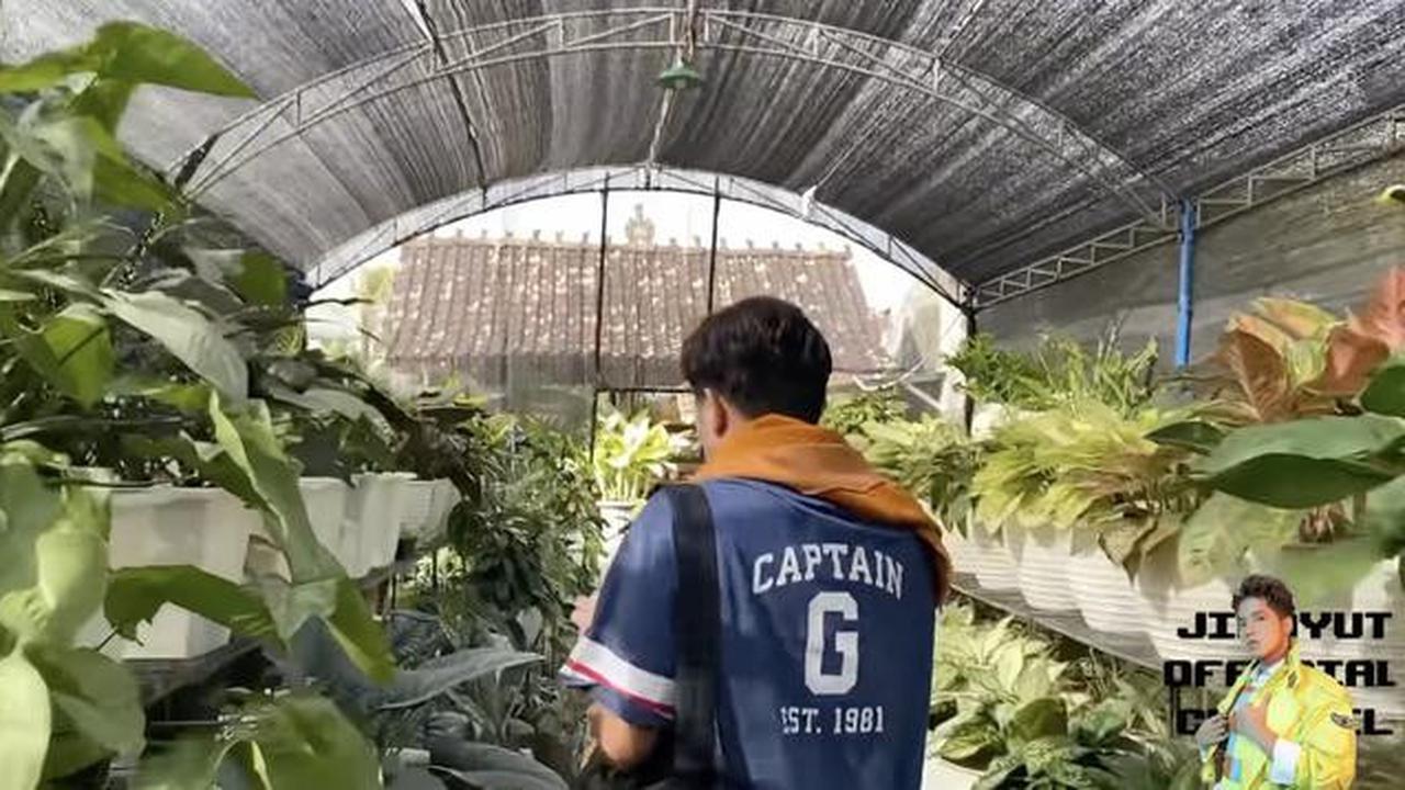 Potret Halaman Belakang Rumah Soimah di Jogja/Youtube/Jirayut Official Channel