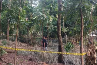Selisih Paham Masalah Adat, Pria di NTT Tewas Ditangan Tiga Kerabatnya